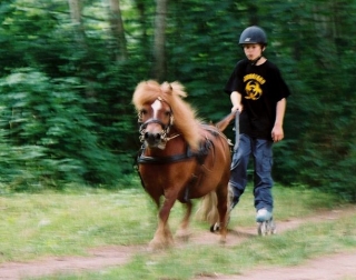  von einem Pferd gezogenen Schlittschuhen 